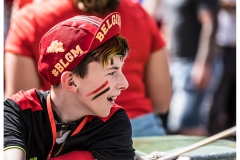 reddevilsfans0-04